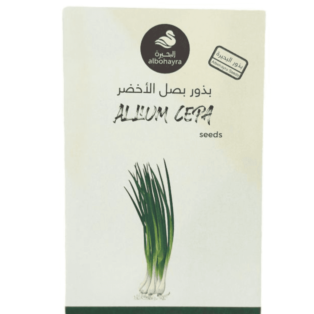 بذور بصل اخضر